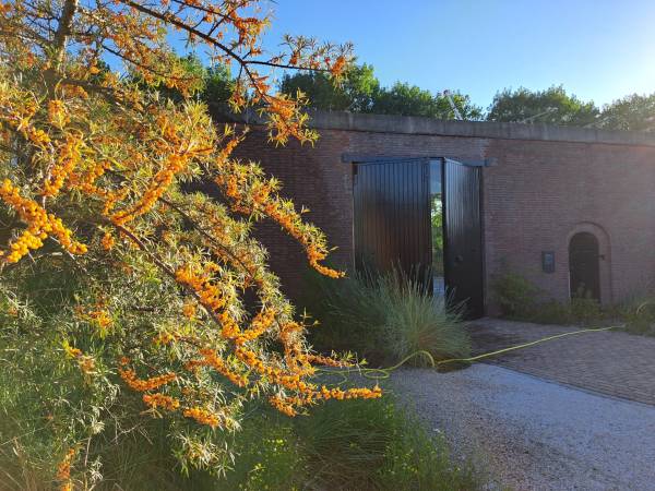 Bezoek de duintuin van het NM Oranjehotel